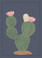 Image Not Available